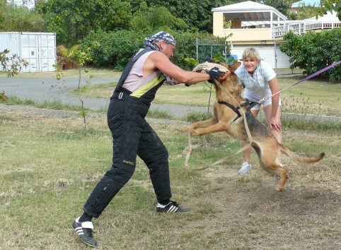 Seminar on Virgin Islands 2008